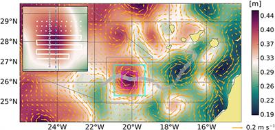 Comparing a Multivariate Global Ocean State Estimate With High-Resolution in Situ Data: An Anticyclonic Intrathermocline Eddy Near the Canary Islands